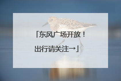 东风广场开放！出行请关注→