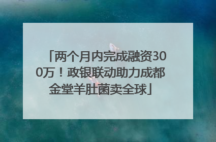两个月内完成融资300万！政银联动助力成都金堂羊肚菌卖全球