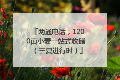 两通电话，1200亩小麦一站式收储（三夏进行时）