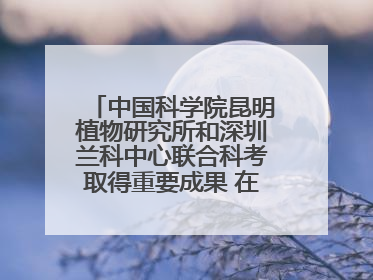中国科学院昆明植物研究所和深圳兰科中心联合科考取得重要成果 在神农架发现两种“国保”级兰花