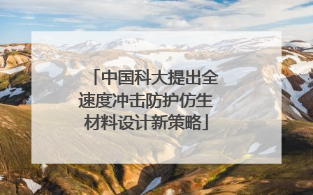 中国科大提出全速度冲击防护仿生材料设计新策略