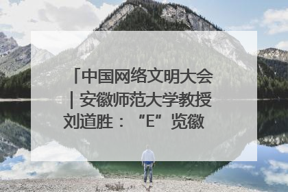 中国网络文明大会｜安徽师范大学教授刘道胜：“E”览徽风，构筑中华民族共有精神家园