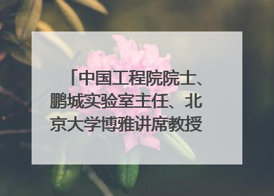 中国工程院院士、鹏城实验室主任、北京大学博雅讲席教授高文：“以人为本 智能向善” 推动文化与科技相生相促｜聚焦2025文化强国建设高峰论坛