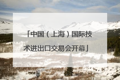 中国（上海）国际技术进出口交易会开幕