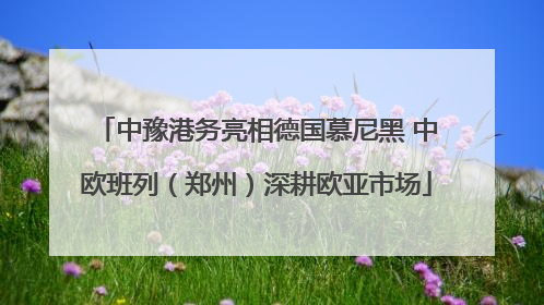 中豫港务亮相德国慕尼黑 中欧班列（郑州）深耕欧亚市场