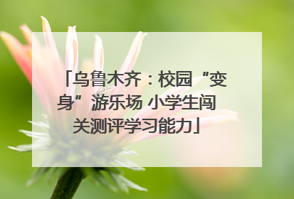 乌鲁木齐：校园“变身”游乐场 小学生闯关测评学习能力