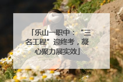 乐山一职中：“三名工程”迎终考，凝心聚力展实效