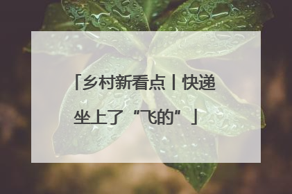 乡村新看点丨快递坐上了“飞的”