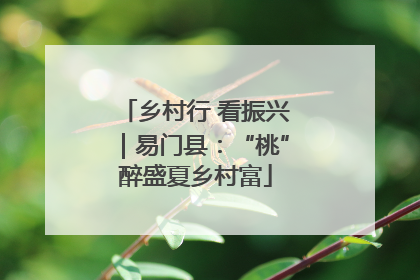 乡村行 看振兴｜易门县：“桃”醉盛夏乡村富
