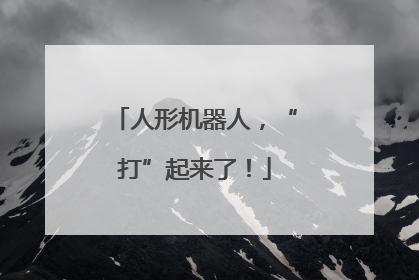 人形机器人，“打”起来了！