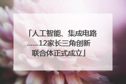 人工智能、集成电路……12家长三角创新联合体正式成立