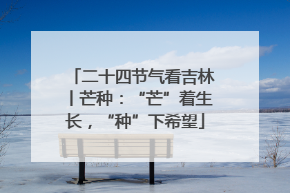 二十四节气看吉林丨芒种：“芒”着生长，“种”下希望