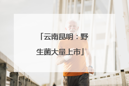 云南昆明：野生菌大量上市