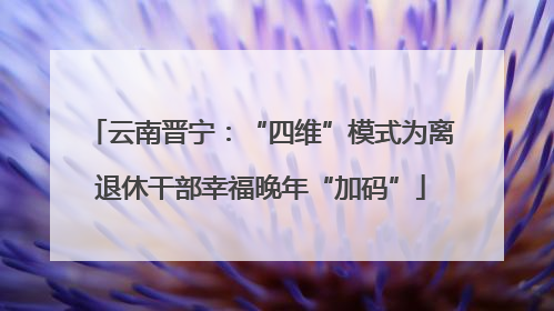 云南晋宁：“四维”模式为离退休干部幸福晚年“加码”