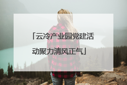 云冷产业园党建活动聚力清风正气