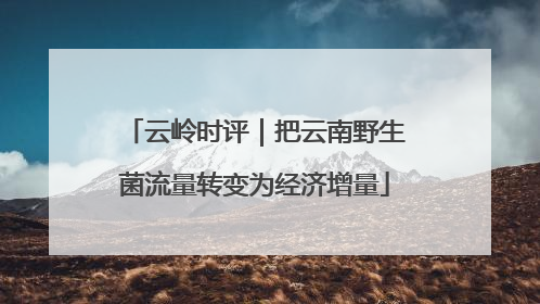云岭时评｜把云南野生菌流量转变为经济增量