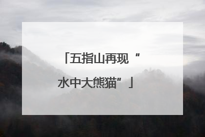 五指山再现“水中大熊猫”