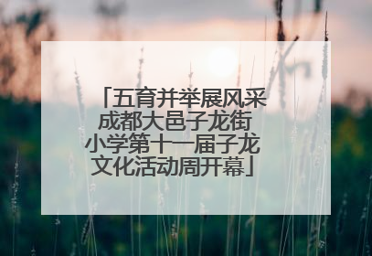 五育并举展风采 成都大邑子龙街小学第十一届子龙文化活动周开幕