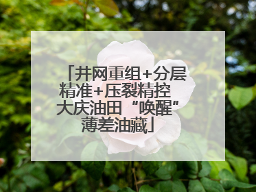 井网重组+分层精准+压裂精控 大庆油田“唤醒”薄差油藏