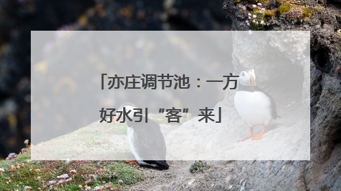 亦庄调节池：一方好水引“客”来