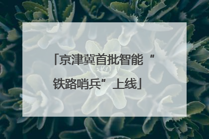 京津冀首批智能“铁路哨兵”上线