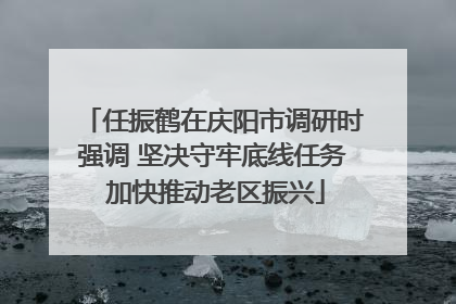 任振鹤在庆阳市调研时强调 坚决守牢底线任务 加快推动老区振兴