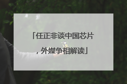 任正非谈中国芯片，外媒争相解读