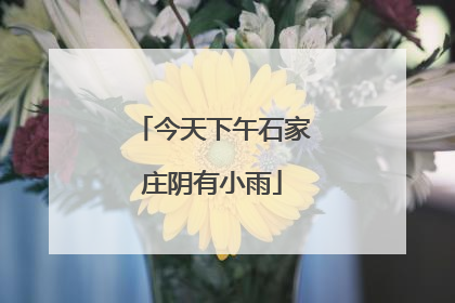 今天下午石家庄阴有小雨