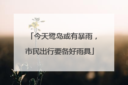 今天鹭岛或有暴雨，市民出行要备好雨具
