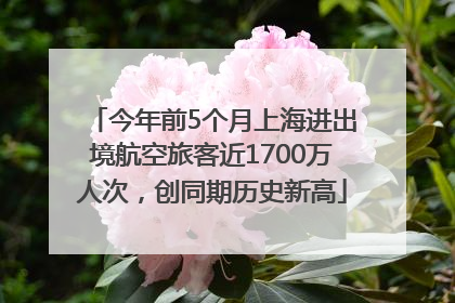 今年前5个月上海进出境航空旅客近1700万人次，创同期历史新高
