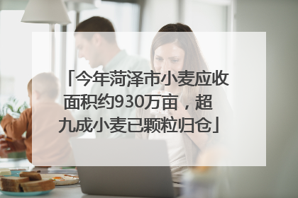 今年菏泽市小麦应收面积约930万亩，超九成小麦已颗粒归仓