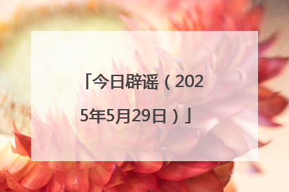 今日辟谣（2025年5月29日）