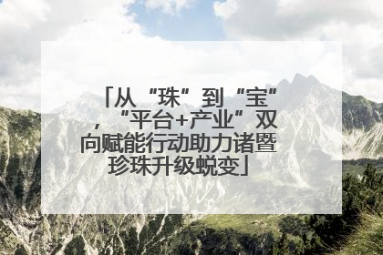 从“珠”到“宝”，“平台+产业”双向赋能行动助力诸暨珍珠升级蜕变