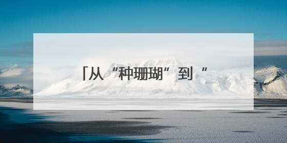 从“种珊瑚”到“育珊瑚” 海底“造林”有了新进展