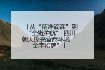 从“精准滴灌”到“全链护航” 四川朝天擦亮营商环境“金字招牌”