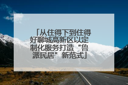从住得下到住得好聊城高新区以定制化服务打造“鲁派民居”新范式