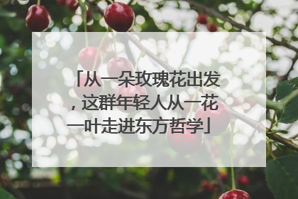 从一朵玫瑰花出发，这群年轻人从一花一叶走进东方哲学