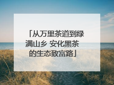从万里茶道到绿满山乡 安化黑茶的生态致富路