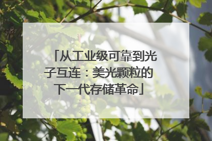 从工业级可靠到光子互连：美光颗粒的下一代存储革命