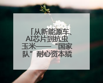 从新能源车、AI芯片到抗虫玉米——“国家队”耐心资本撬动产业突围