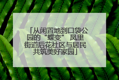 从闲置地到口袋公园的“蝶变” 凤里街道后花社区与居民共筑美好家园