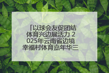 以球会友促团结 体育兴边展活力 2025年云南省边境幸福村体育嘉年华三人篮球赛圆满收官