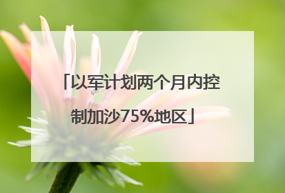 以军计划两个月内控制加沙75%地区