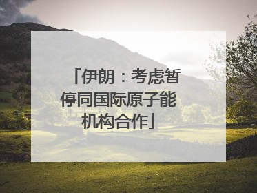 伊朗：考虑暂停同国际原子能机构合作