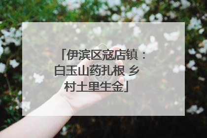 伊滨区寇店镇：白玉山药扎根 乡村土里生金