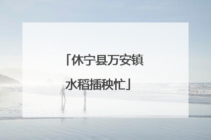 休宁县万安镇水稻插秧忙