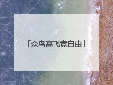 众鸟高飞竞自由