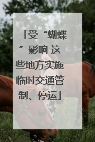 受“蝴蝶”影响 这些地方实施临时交通管制、停运
