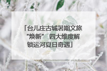 台儿庄古城暑期文旅“焕新” 四大维度解锁运河夏日奇遇
