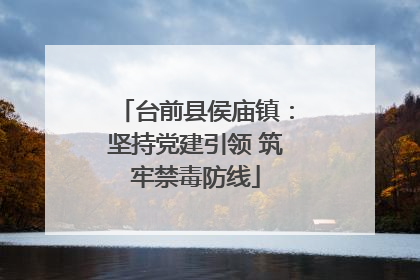 台前县侯庙镇：坚持党建引领 筑牢禁毒防线